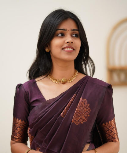 Wine Combination Pure Soft Silk Saree Stylish Blouse Piece