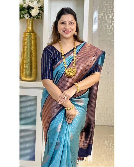 Sky Blue With Navy Blue Combination Pure Soft Semi Silk Saree With Attractive Blouse Piece