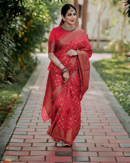 Red Pure Soft Silk Saree With Lovely Blouse Piece