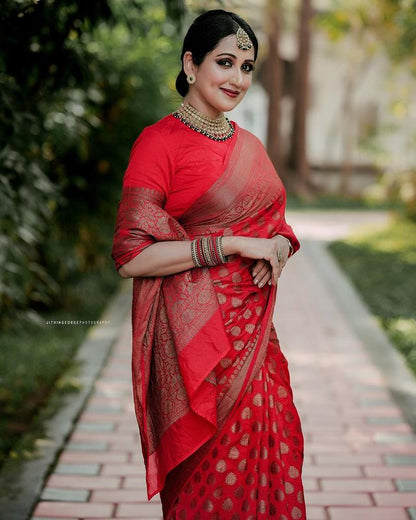 Red Pure Soft Silk Saree With Lovely Blouse Piece