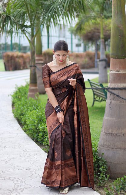 Black With Copper Zari Combination Pure Soft Silk Saree Stylish Blouse Piece