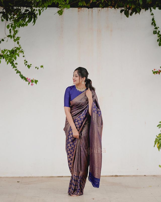 Navy Blue Pure Soft Semi-Silk Saree Stylish Blouse Piece